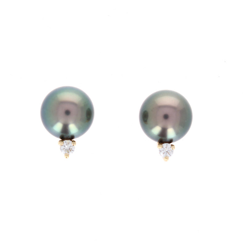 Ladies 14kt White Gold 9.6mm Tahitian and 0.14ct Diamond Earrings
