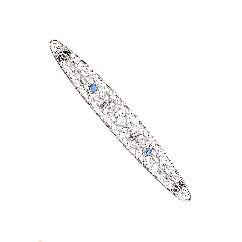 Ladies 14kt White Gold 0.20cts Sapphire and 0.10cts Diamond Brooch