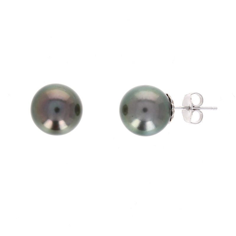 Ladies 14kt White Gold 10-10.50mm Tahitian Pearl Earrings