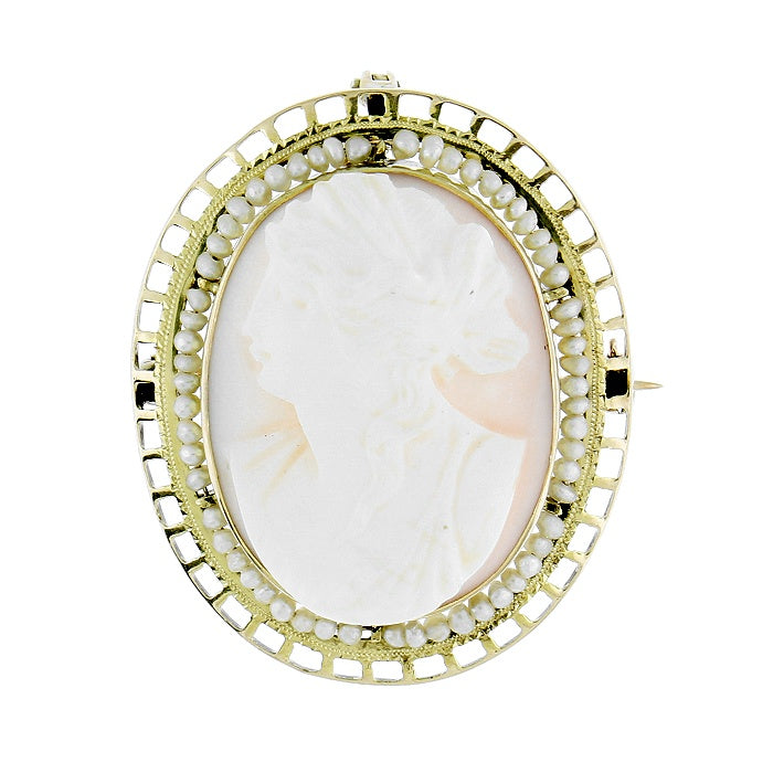 Ladies 10kt Yellow Gold Pearl and Conch Shell Cameo Brooch Circa 1900